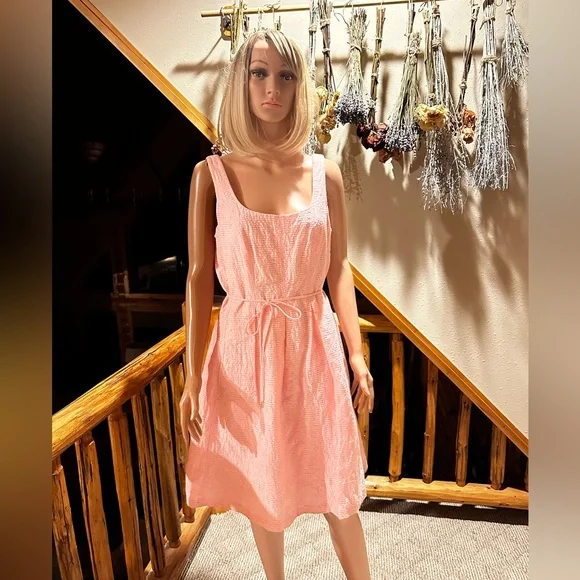 Pappagallo Pink Scoop Neck Sleeveless Dress sz 12 - Picture 1 of 6